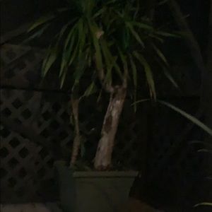 Meet your Posher, Ashely